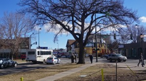 Ideas include adding an arch over the Colfax-Park intersection.