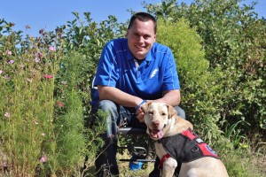 Freedom Service trains dogs to pull wheelchairs, open doors, turn on lights and more. 