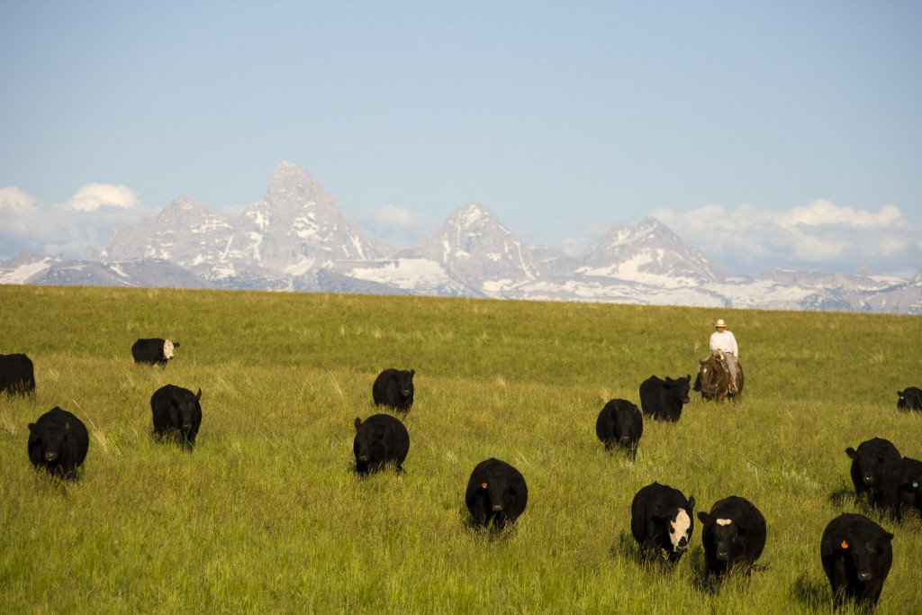 Photos courtesy of Teton Waters Ranch.