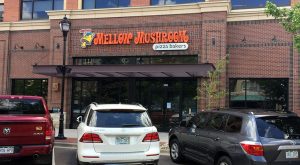 mellowMushroom1