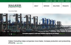 halkerConsulting website