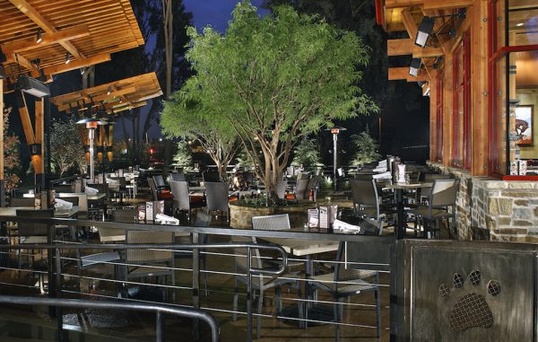 lazy dog patio