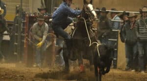 National Western Stock Show coming to Denver