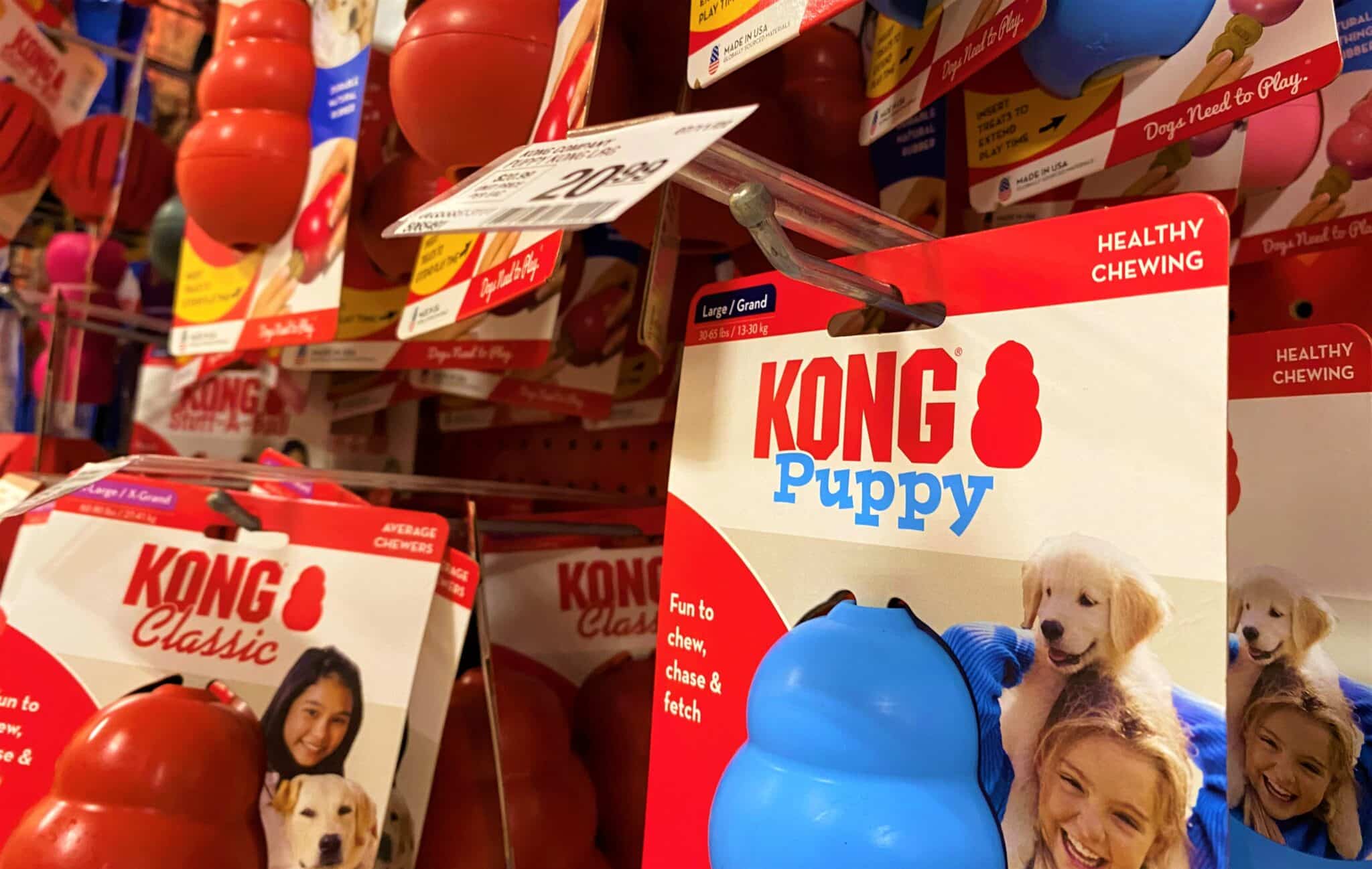 Kong 1 scaled