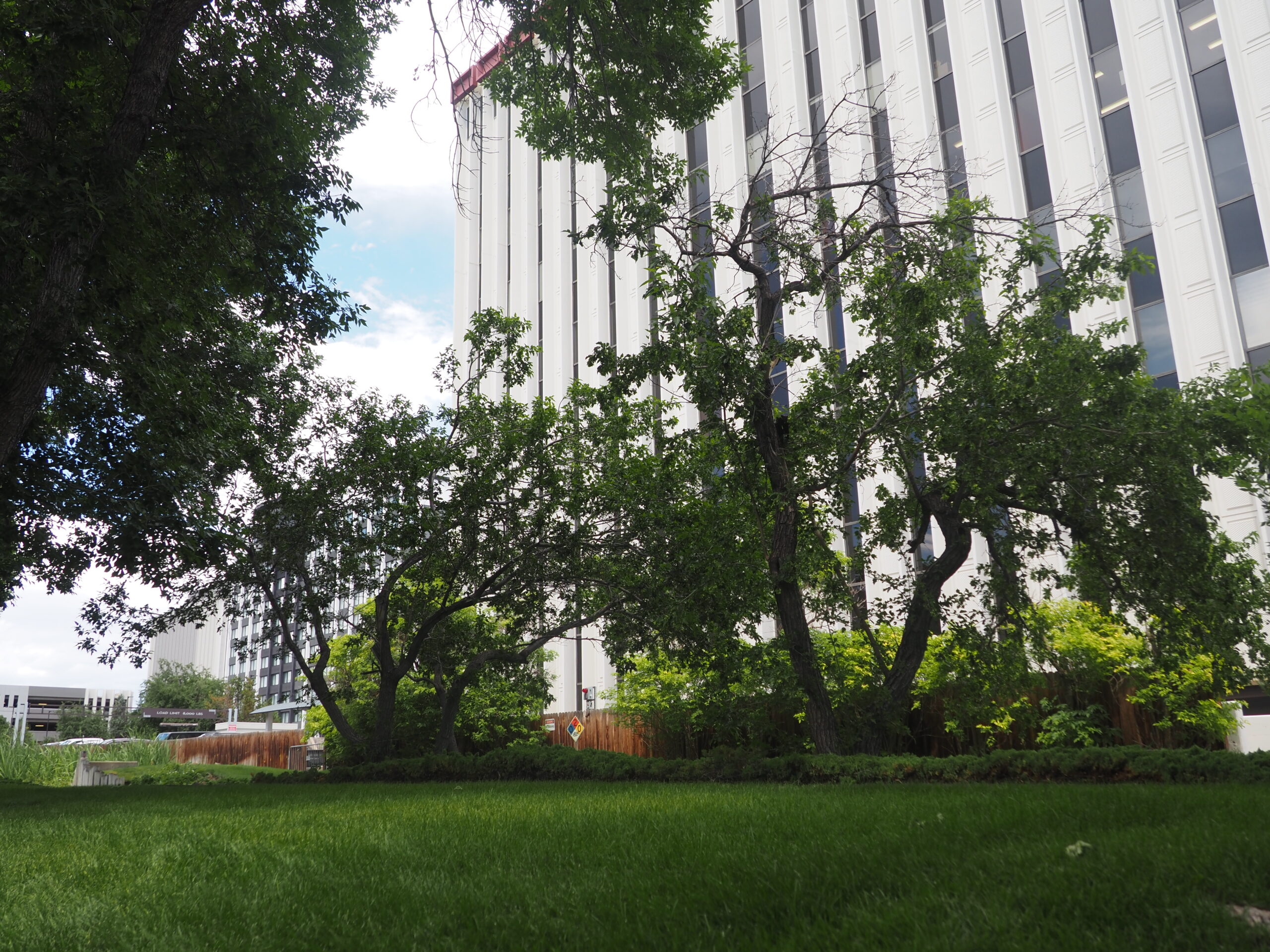 Council rejects rezoning of office building off Colorado Blvd. 1 IMG 7594 scaled