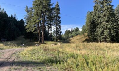 Cimarron Peak subdivision - Morrison