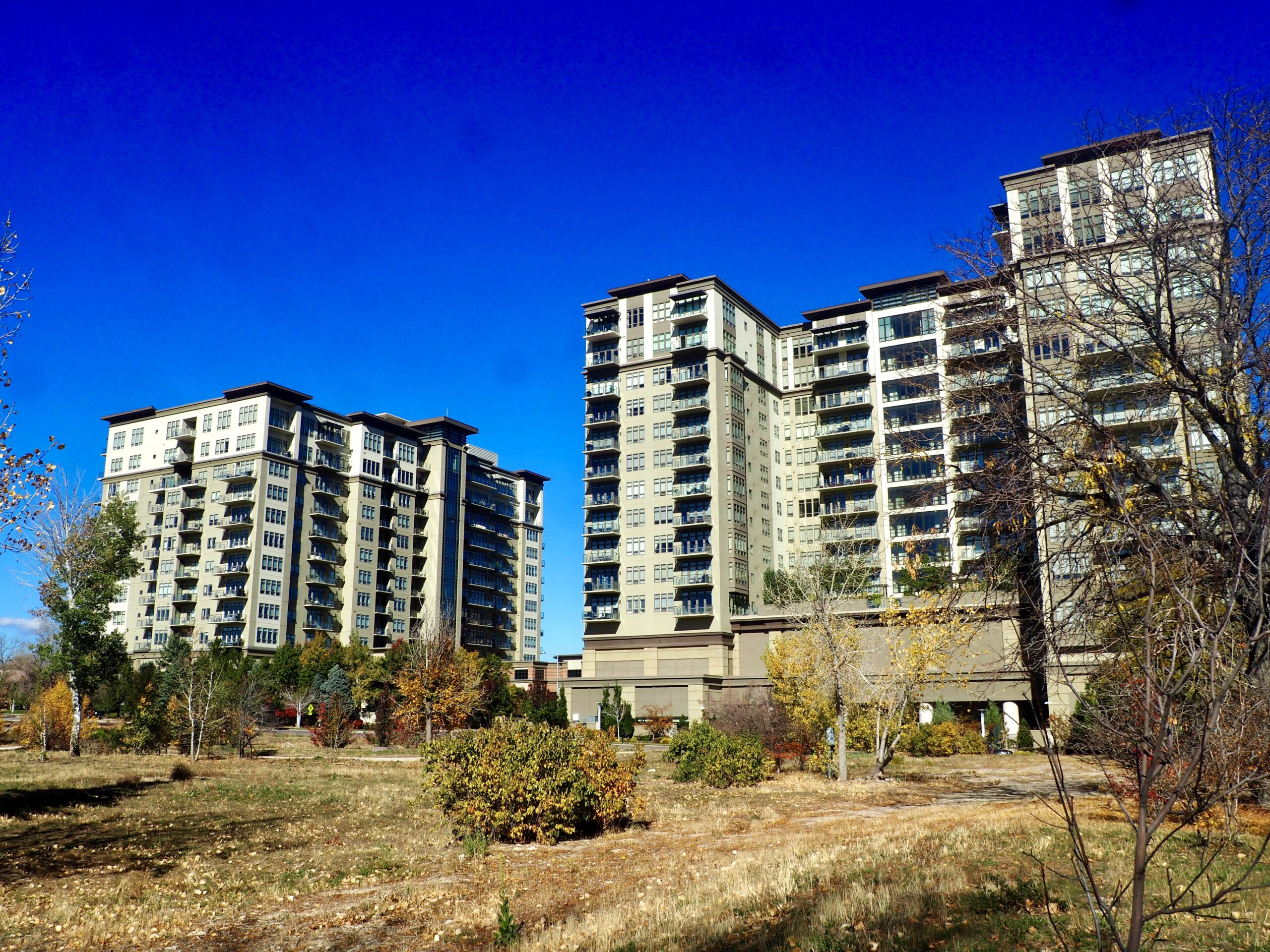 Empty lot behind Landmark Towers in Greenwood Village