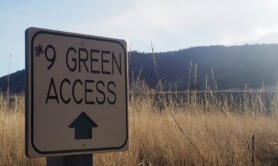 A #9 hole sign on an overgrown golf course