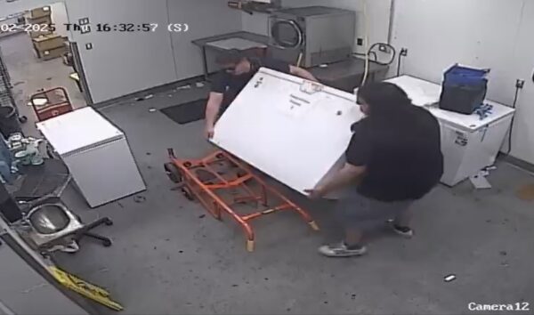 Cannabis grower claims manager ‘stole everything’ from Denver warehouse 1 Rocky Mountain Distributors