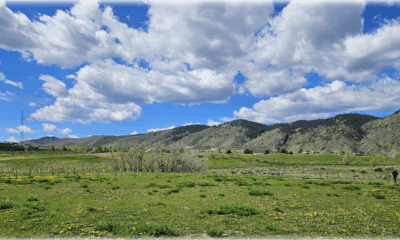 A picture of the project site