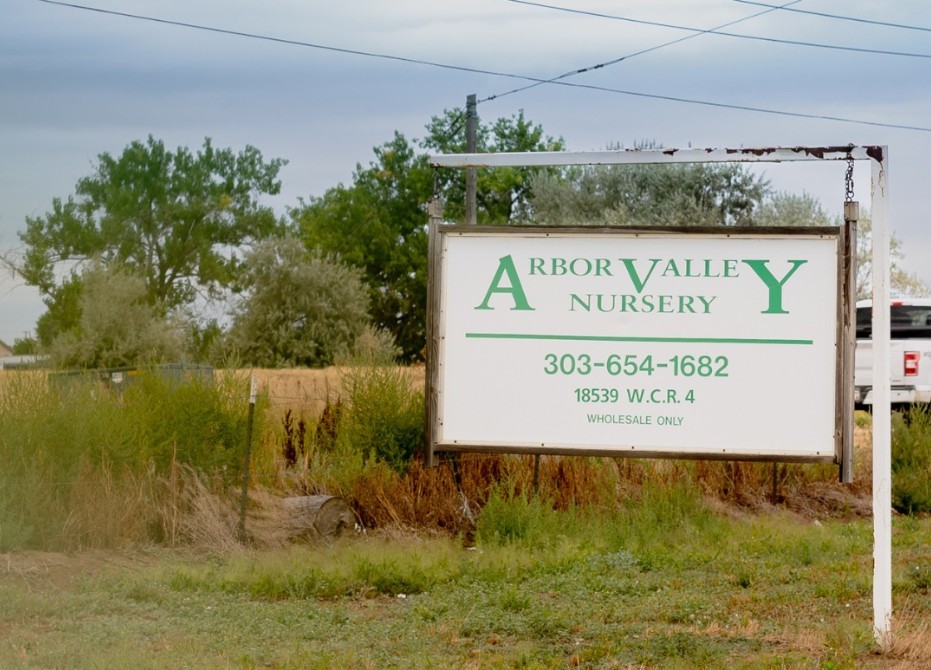 Brighton nursery files for bankruptcy protection 1 Arbor Valley Nursery